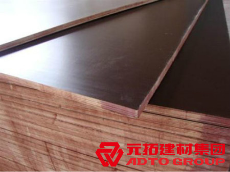  河北木模板如何選購？建筑木模板選購注意哪些方面？